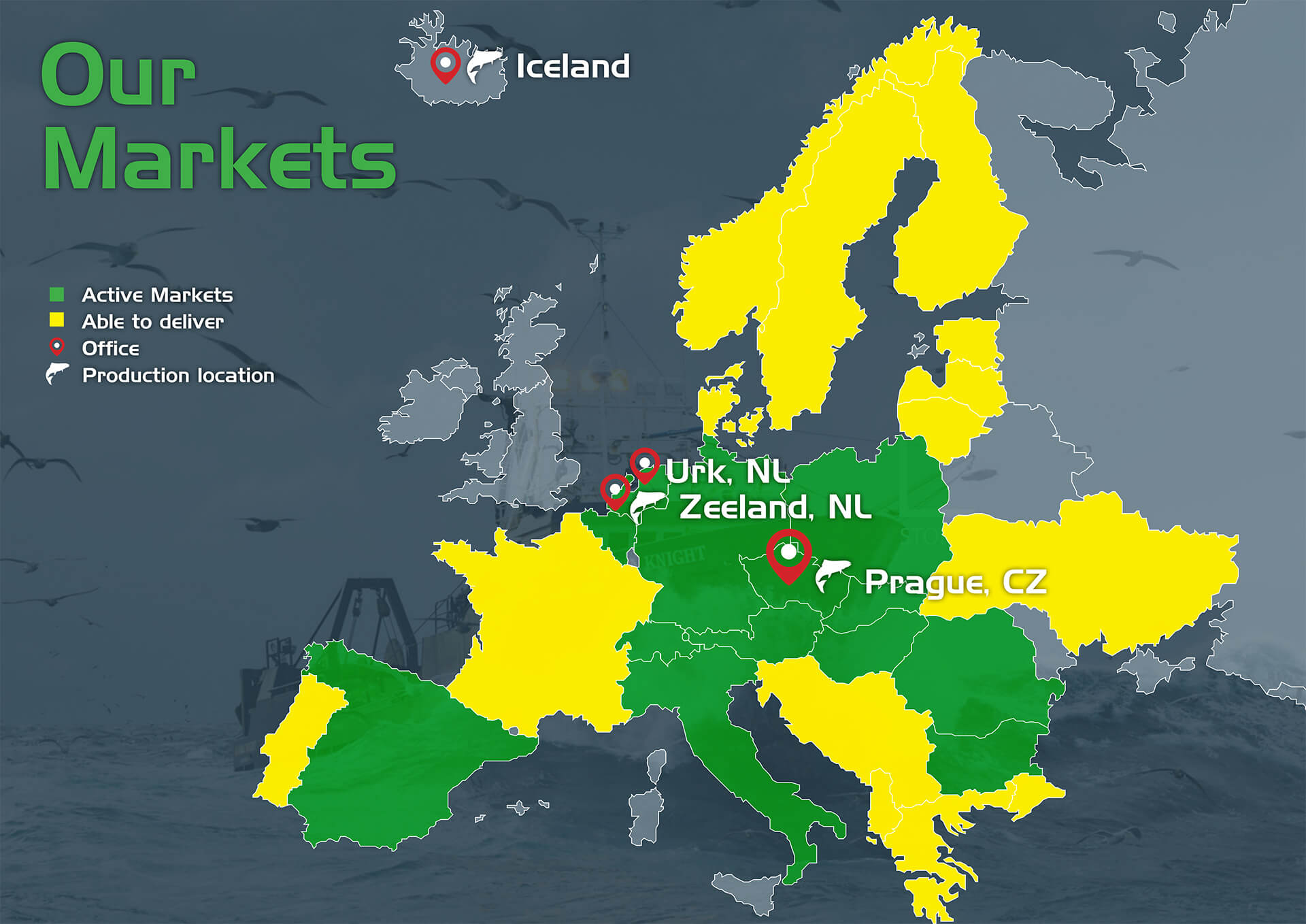 Our markets